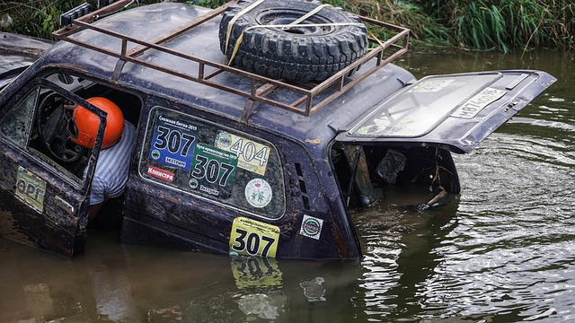 平野美宇的 平野美宇的