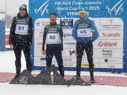 占尽优势 占尽优势