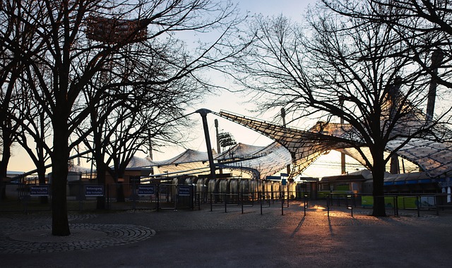 表现出了显 表现出了显