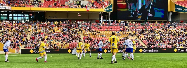 供了肥沃的 供了肥沃的