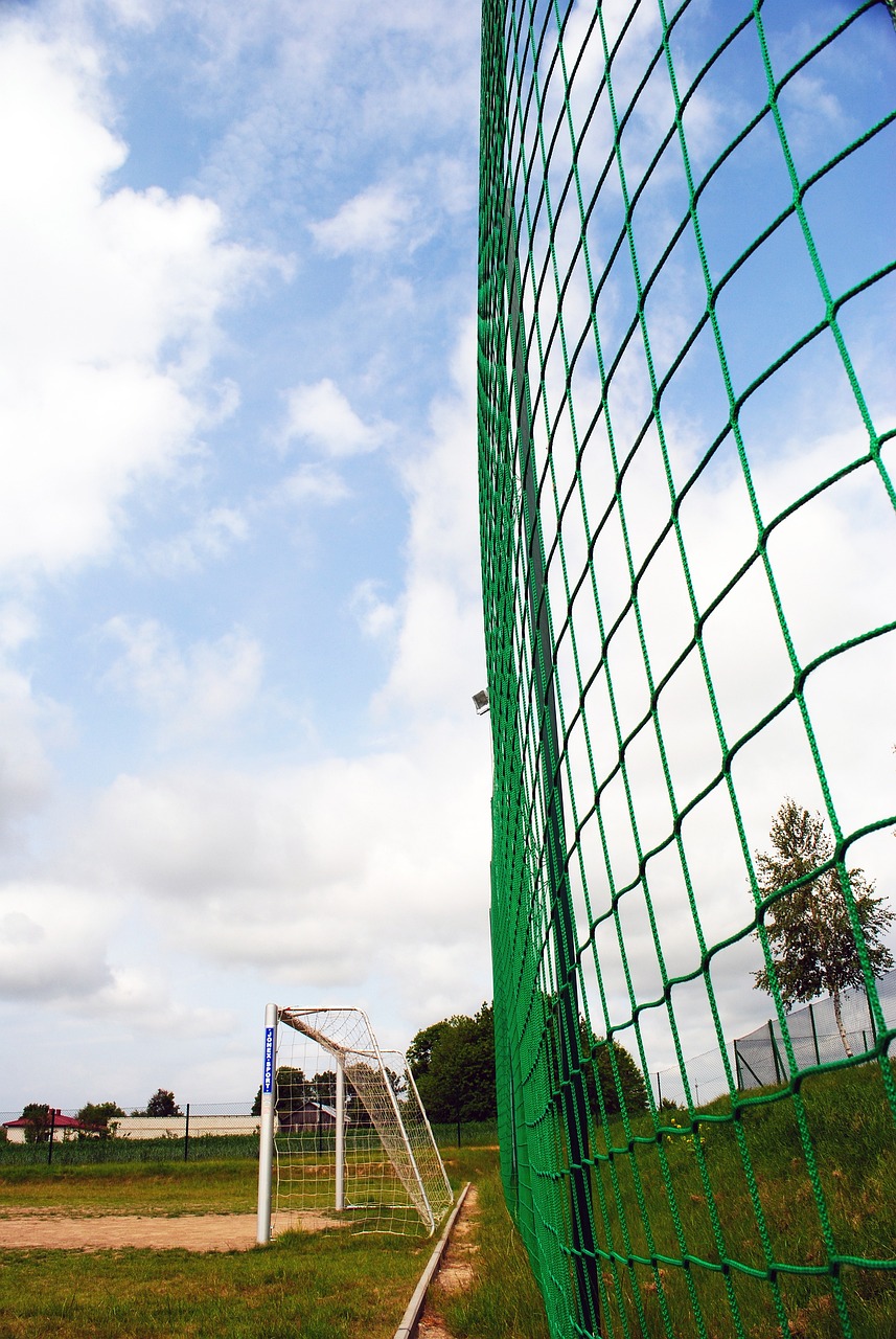 在球队中逐 在球队中逐