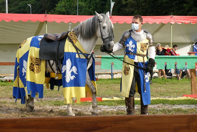 体育新闻创 体育新闻创