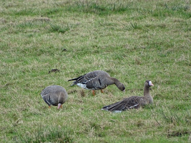 首届学青会田径公开组收官赛 成都队摘得8金.