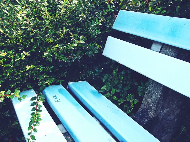 大连队也需 大连队也需