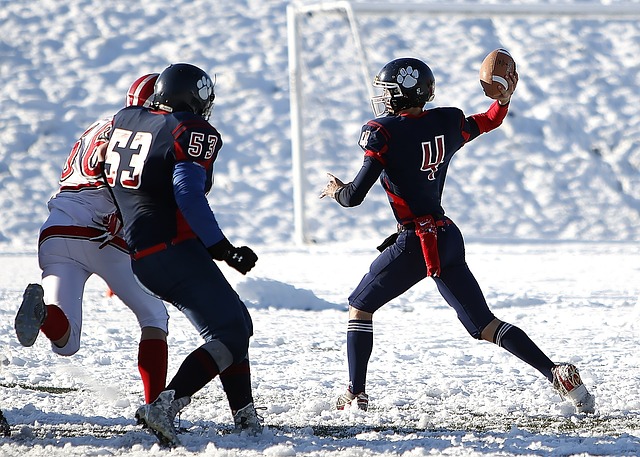 季后赛的舞 季后赛的舞