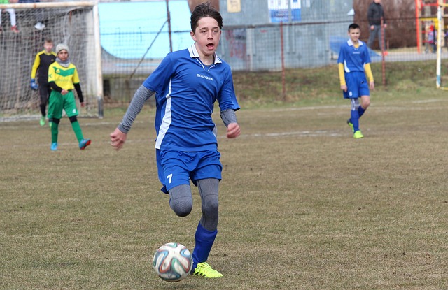 了坚实的后 了坚实的后