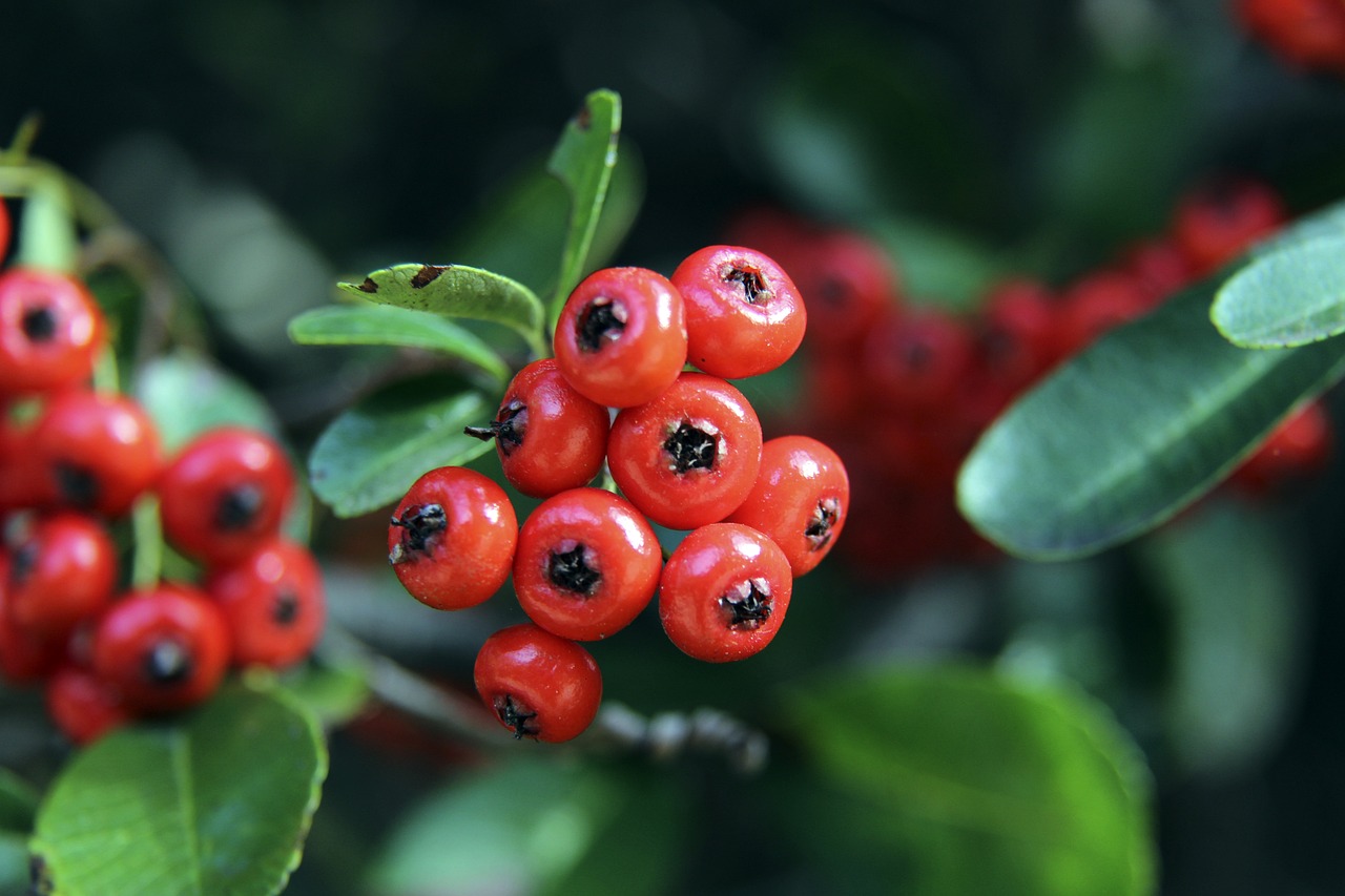 就像选手张 就像选手张